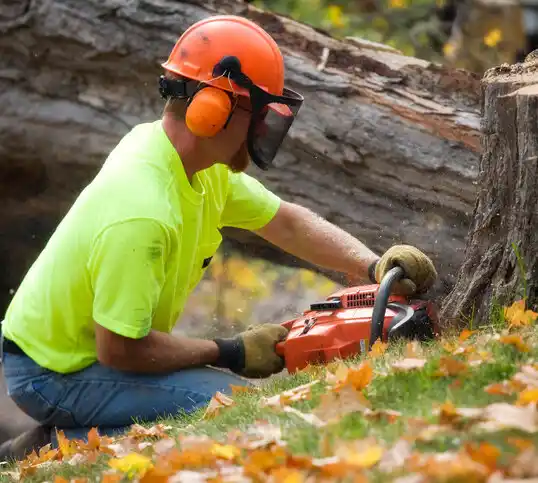 tree services Mystic Island